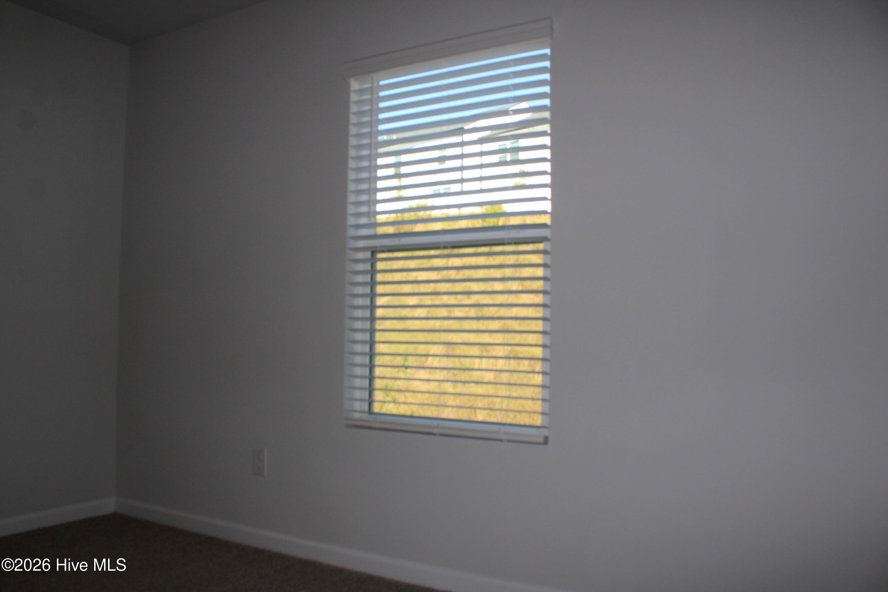 5165 Montana Loop Property Photo 31