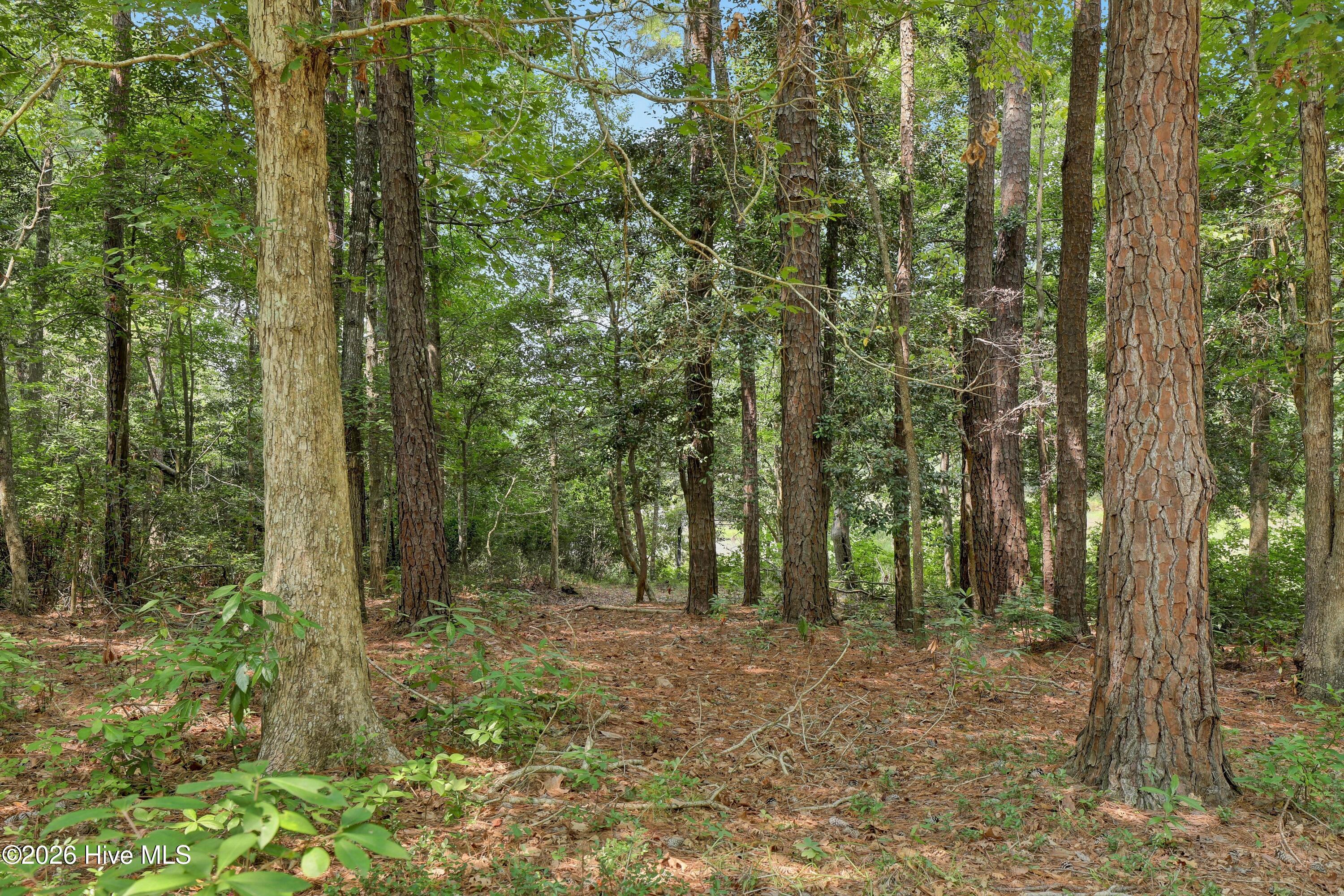 570 King Drive Property Photo 29