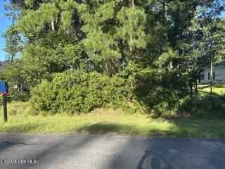 917 441 Sea Holly Court Property Photo 1