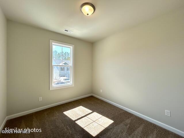 101 Hunters Green Court Property Photo 41
