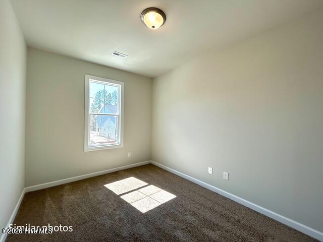 101 Hunters Green Court Property Photo 46