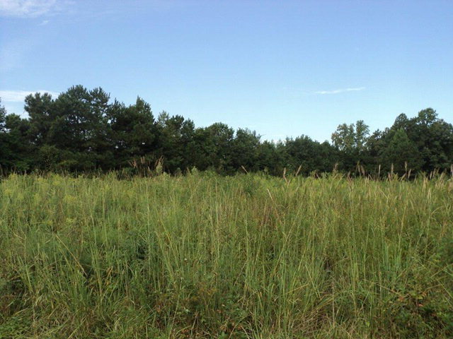 0 Flanders Filter Road Property Photo 2