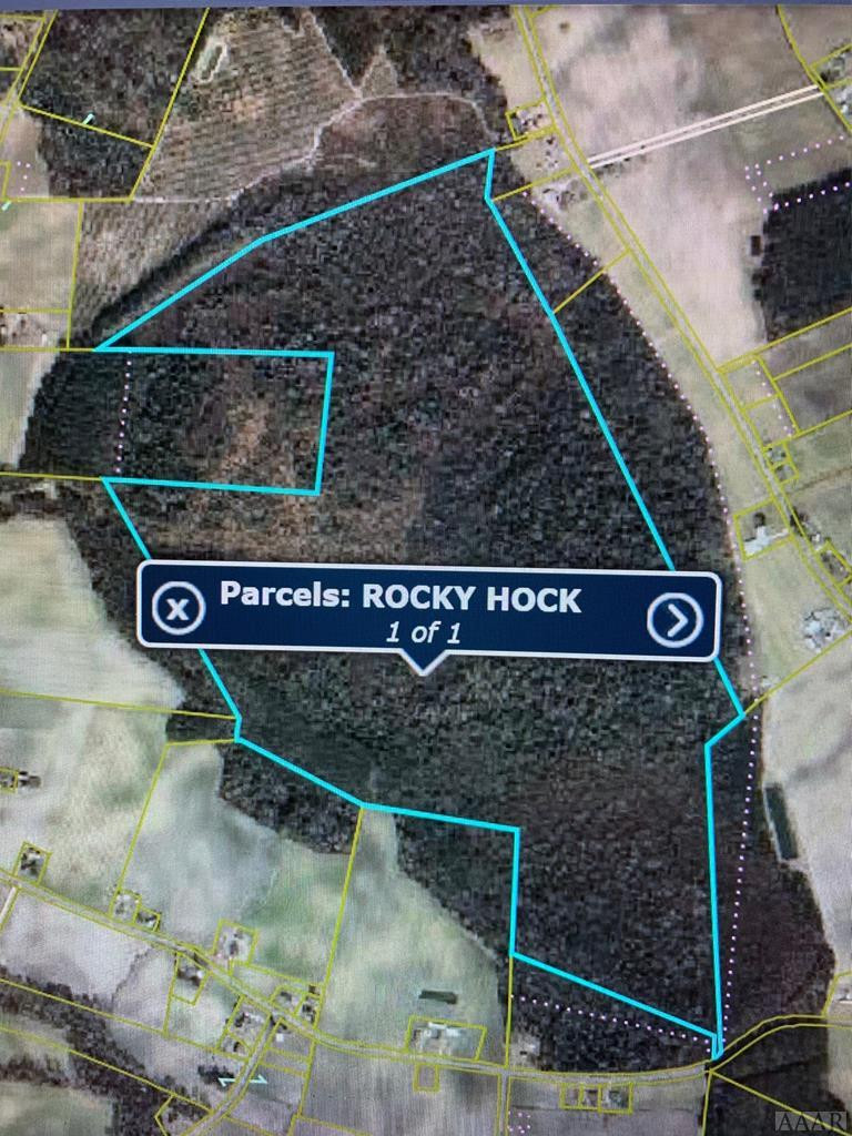 1612 Rocky Hock Landing Property Photo 8
