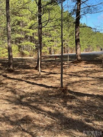 312 Plumtree Court Property Photo 5