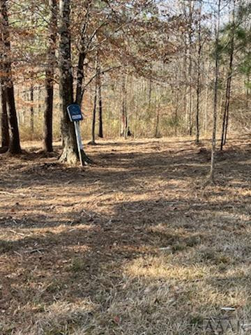 312 Plumtree Court Property Photo 8