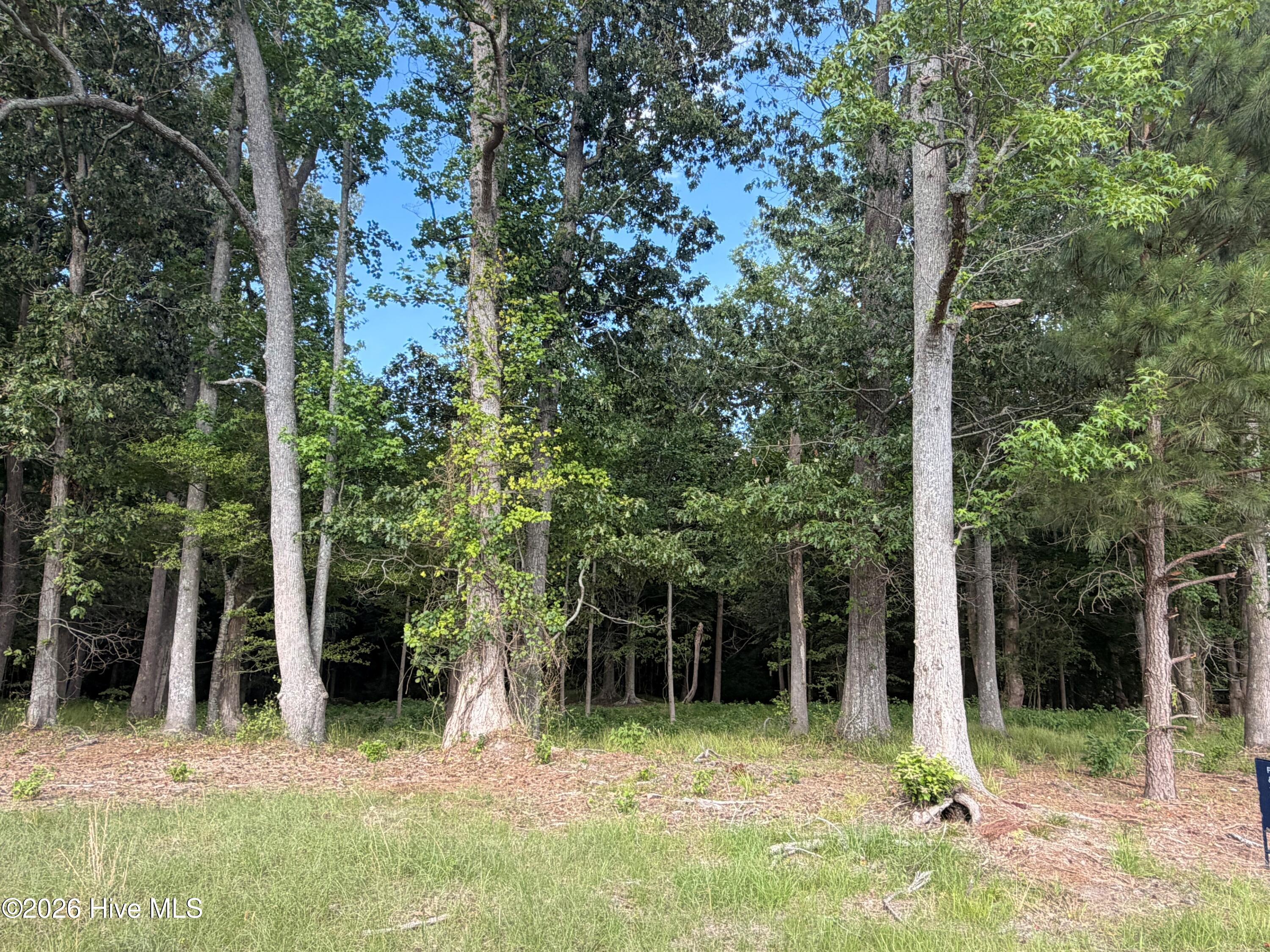 506 36/37 Batchelor Bay Drive Property Photo 4