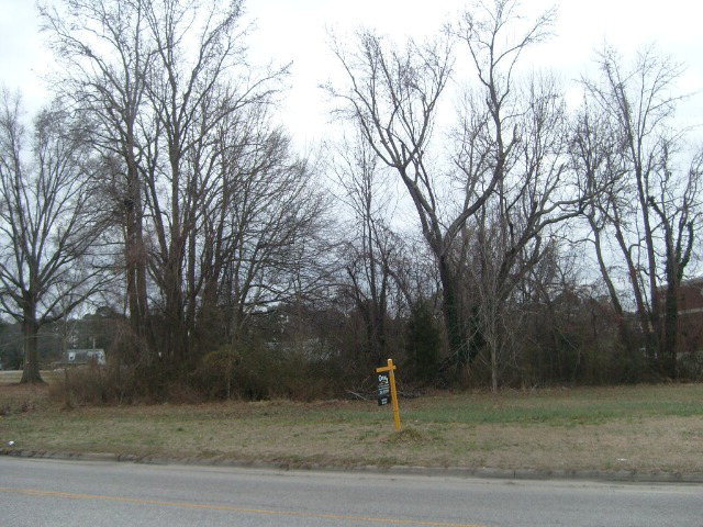 0 Zebulon Road Property Photo 1