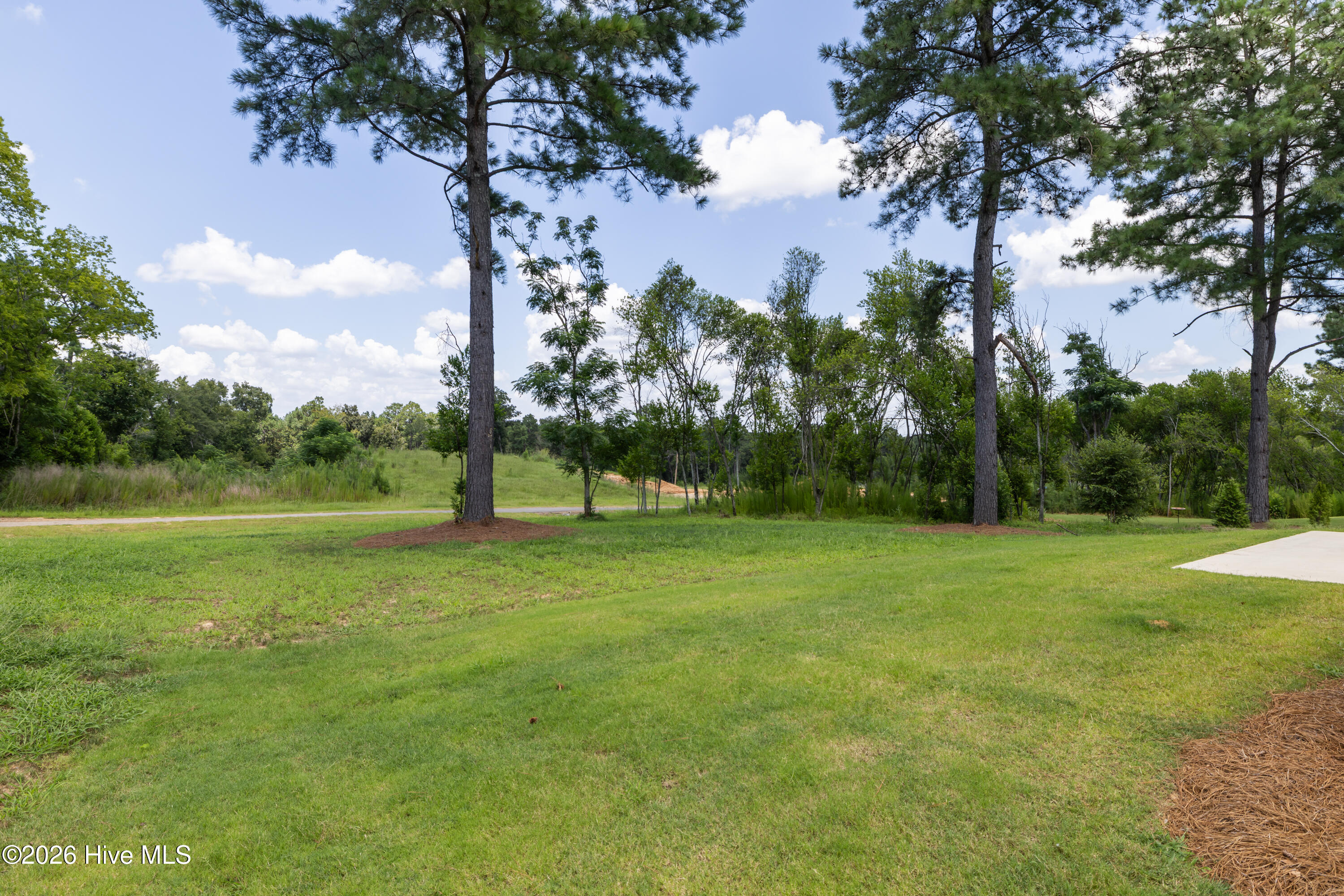 1340 Bellingham Drive Property Photo 60