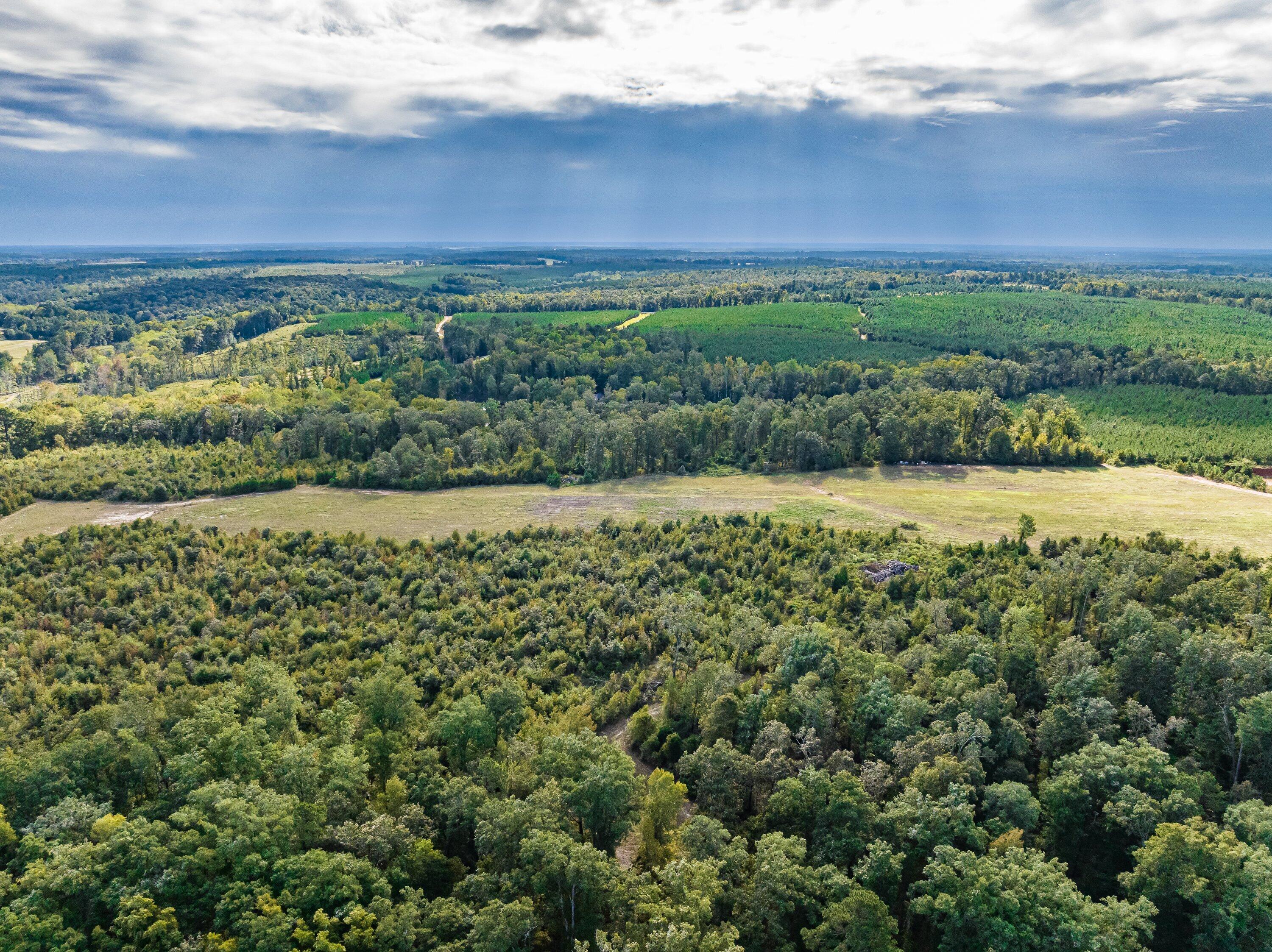 3275 Hadden Pond Road Property Photo 60