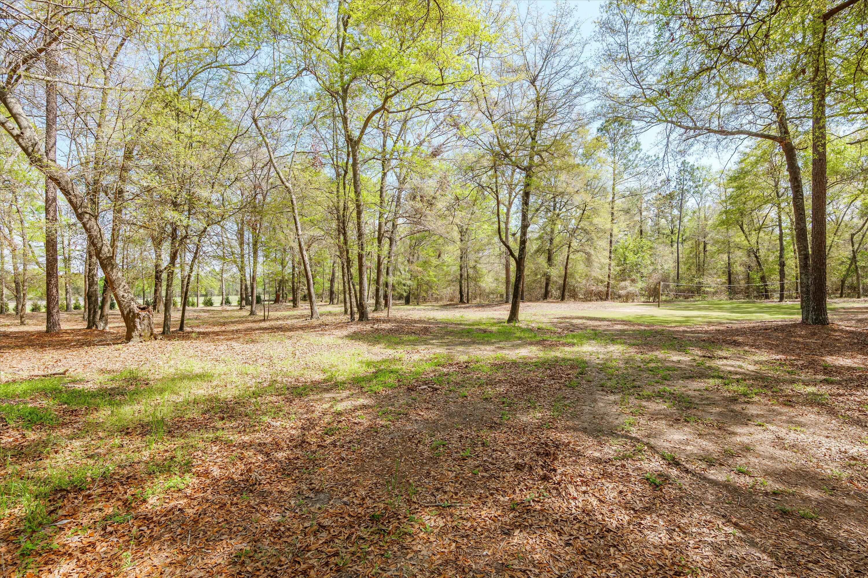 3593 Silver Bluff Road Property Photo 71