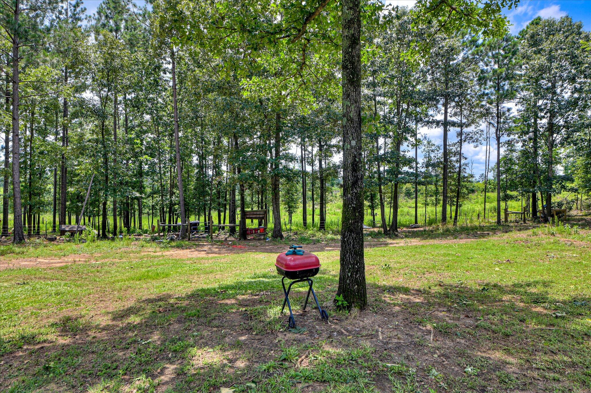 196 Brodie Hall Road Property Photo 35