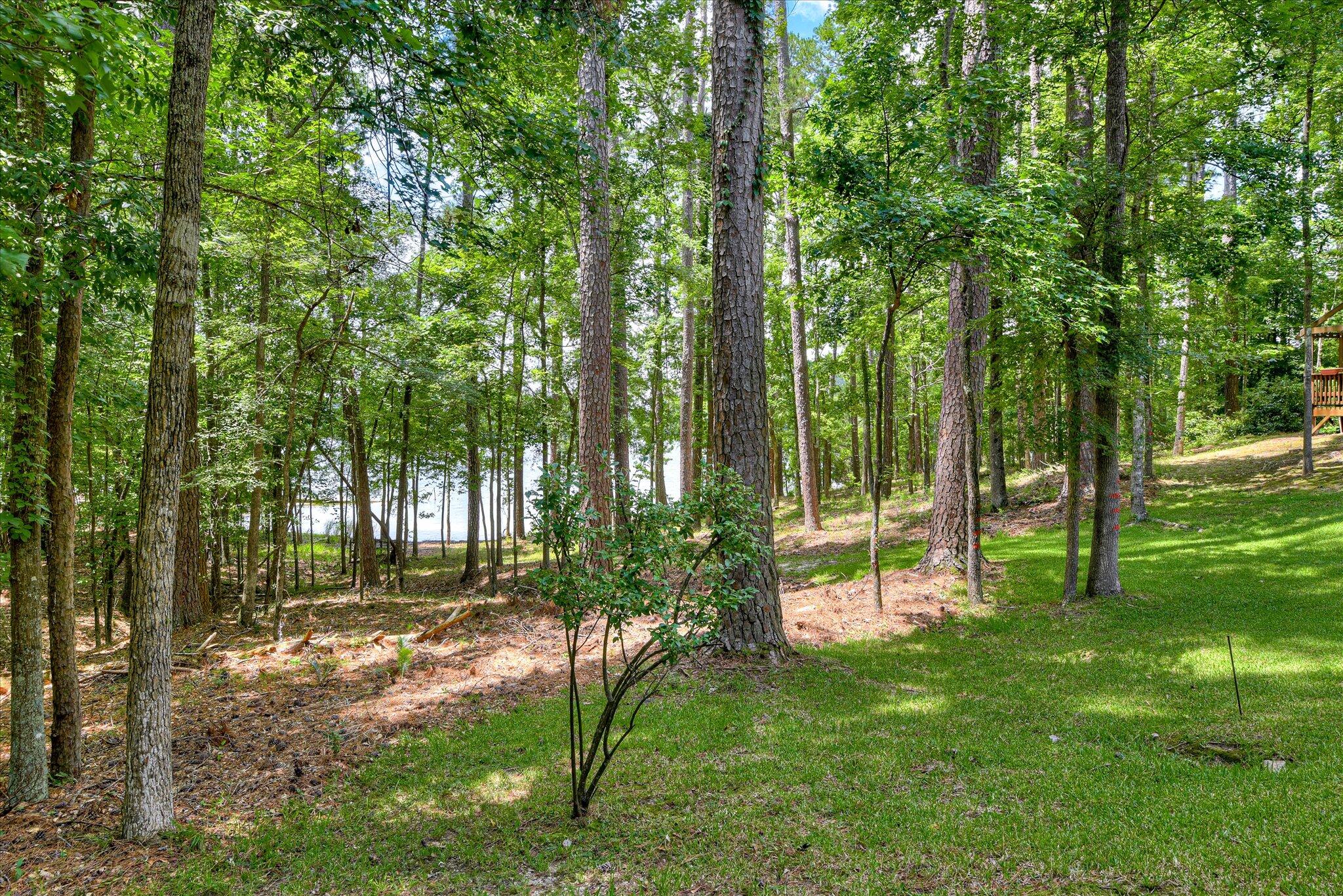 204 Chickadee Court Property Photo 52