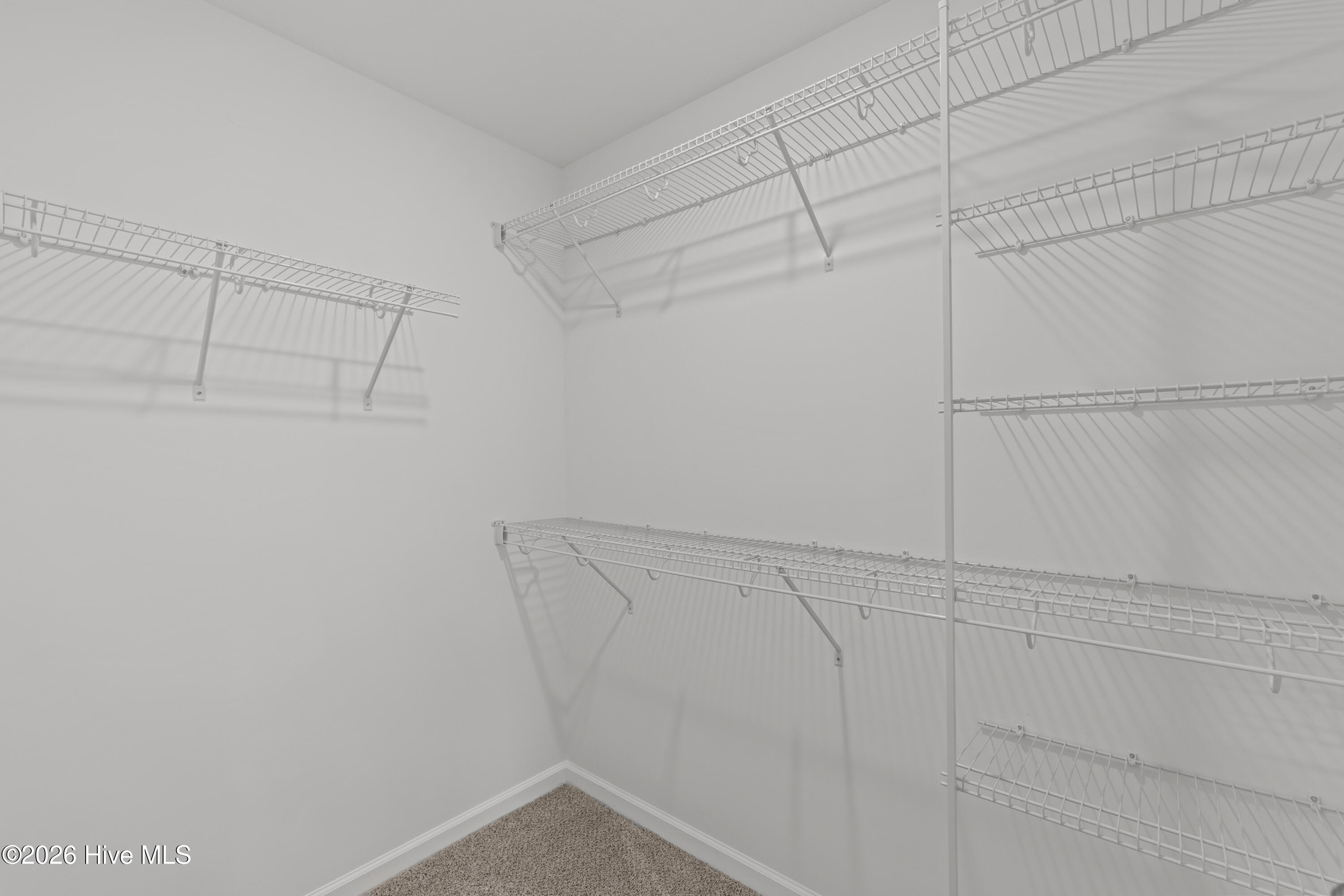 7259 Paisley Circle Property Photo 33