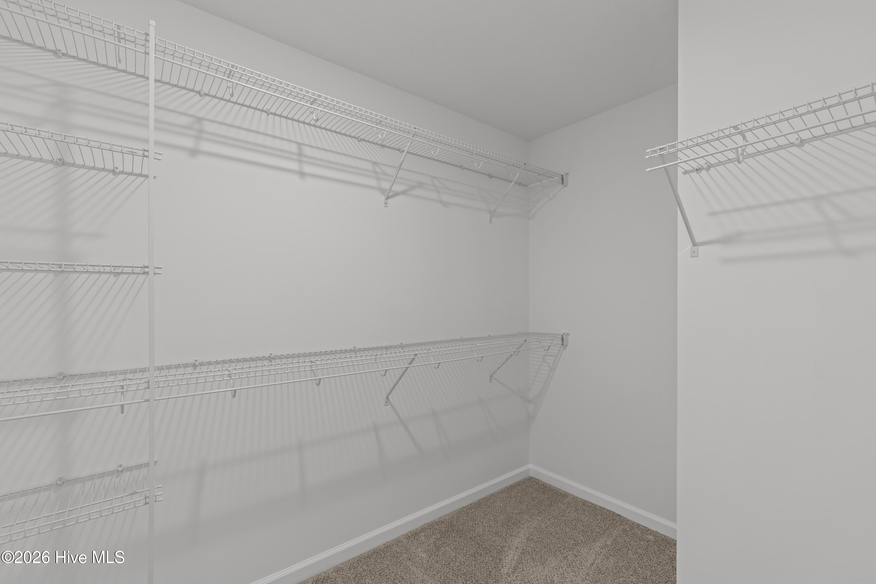 7259 Paisley Circle Property Photo 34