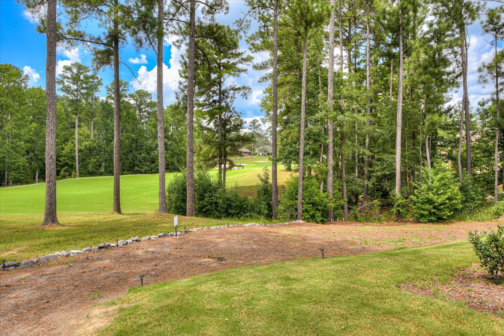 217 Amelia Drive Property Photo 47
