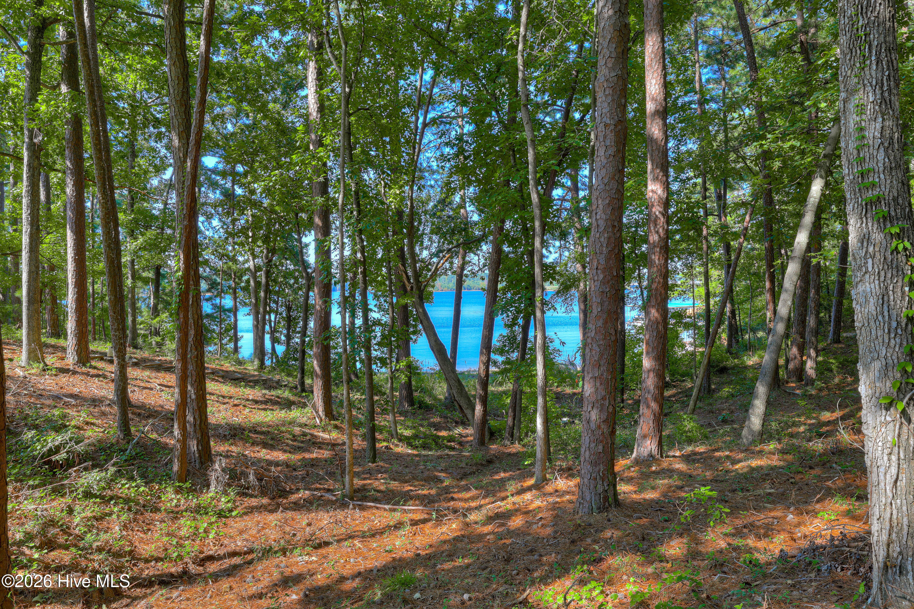 202 Deer Run Lane Property Photo 66