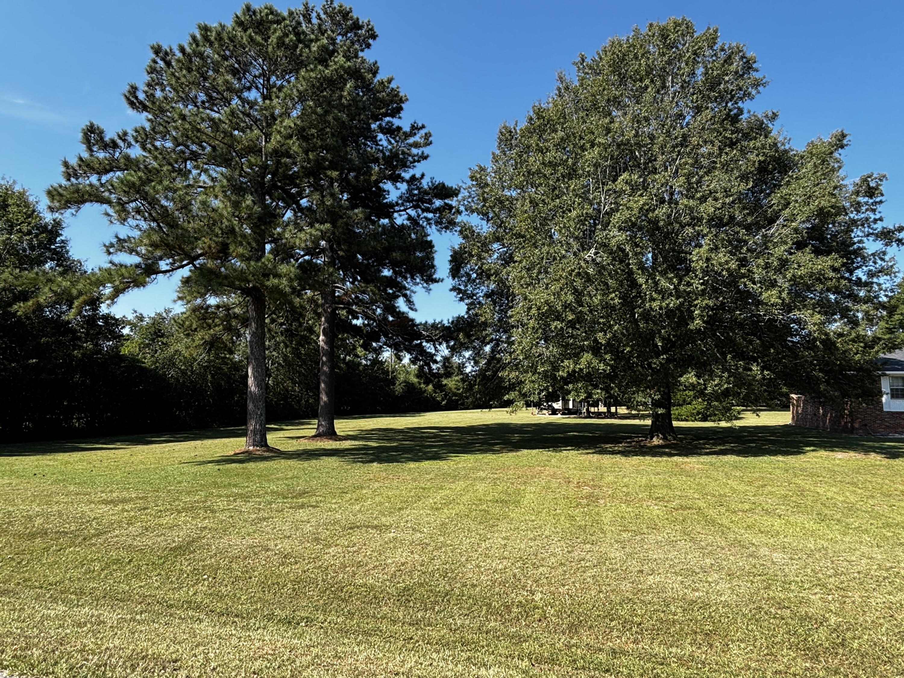 207 Old Thomson Road Property Photo 3