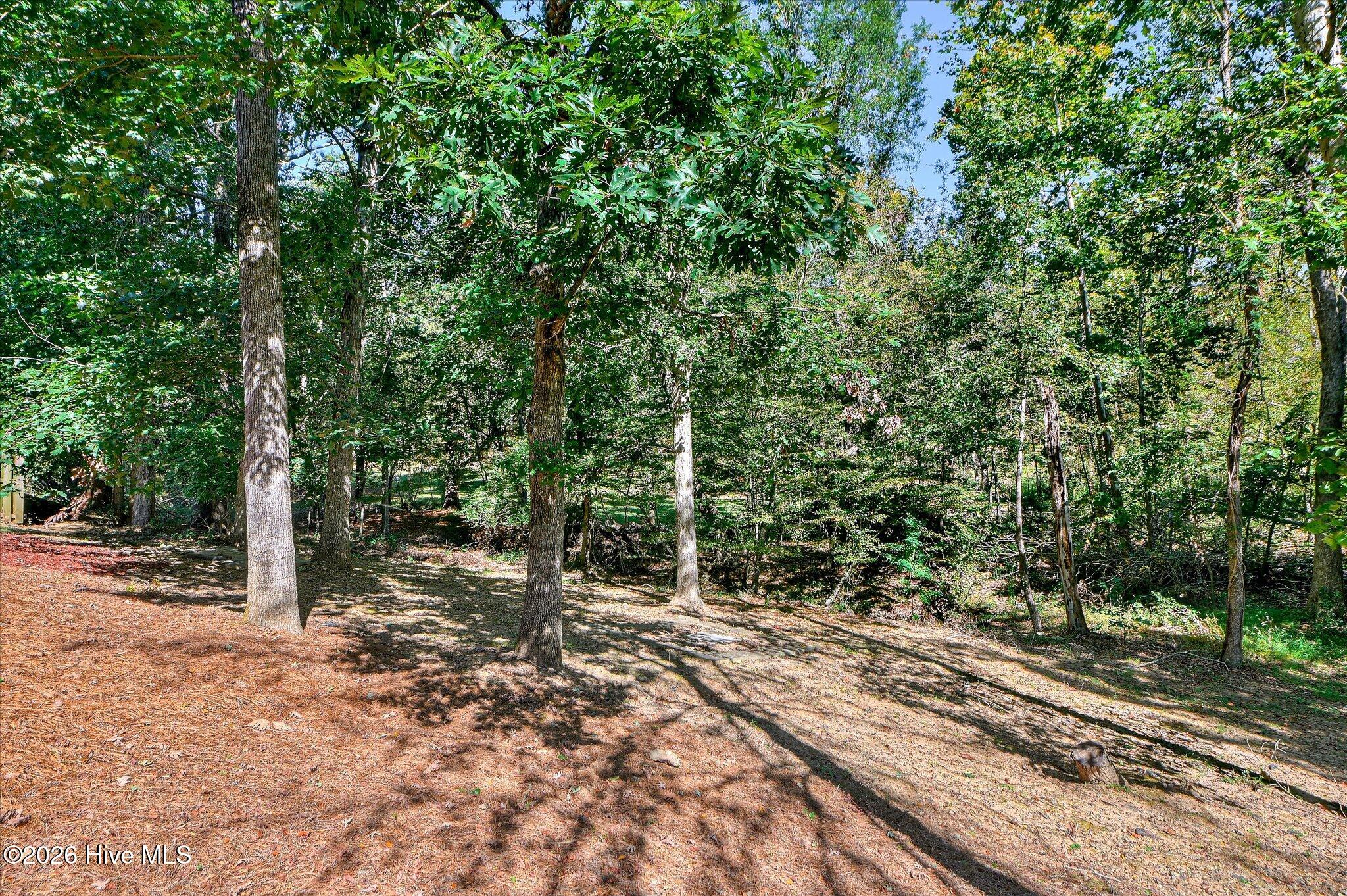 1259 Hardy Pointe Drive Property Photo 46