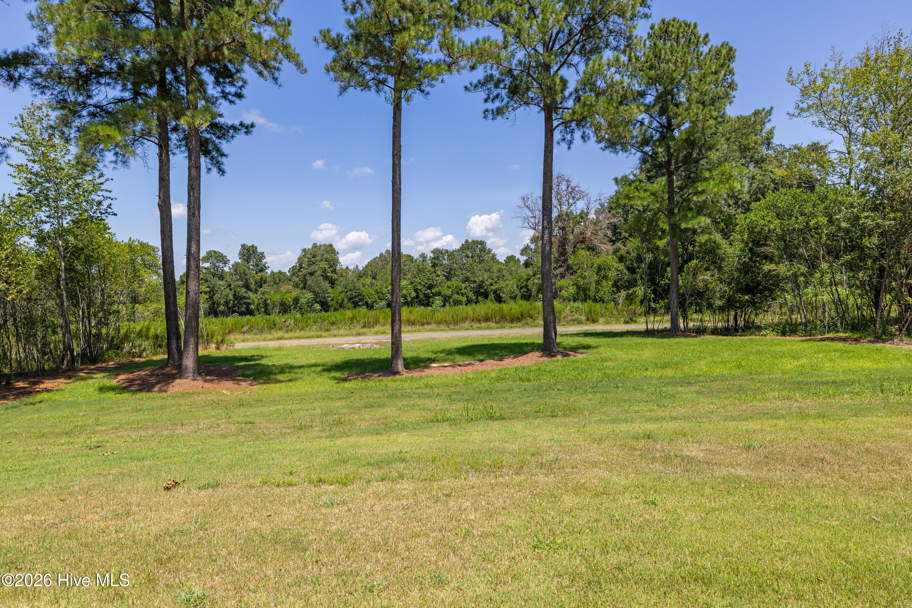1096 Bellingham Drive Property Photo 54