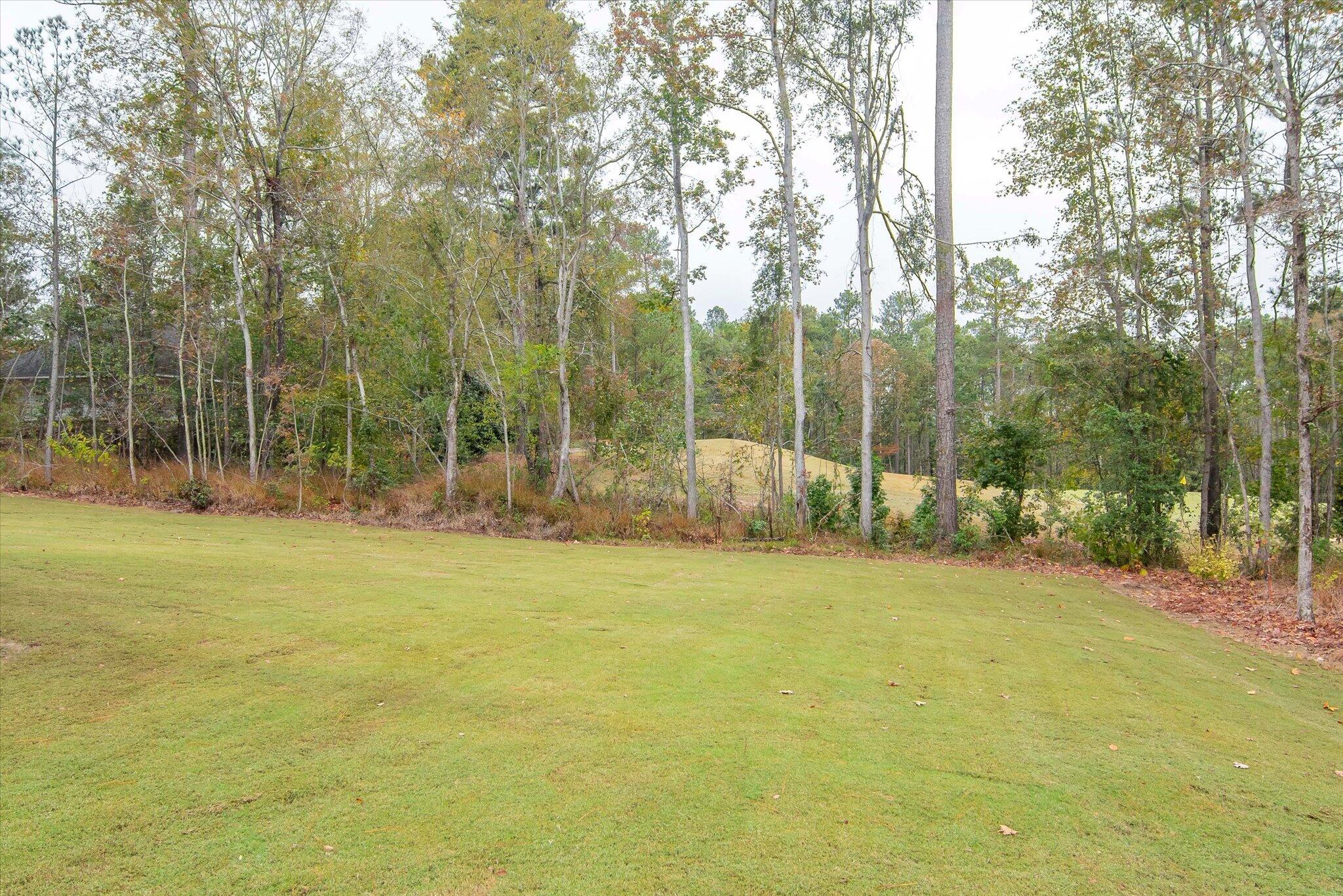 153 Captain Johnson's Drive Property Photo 45