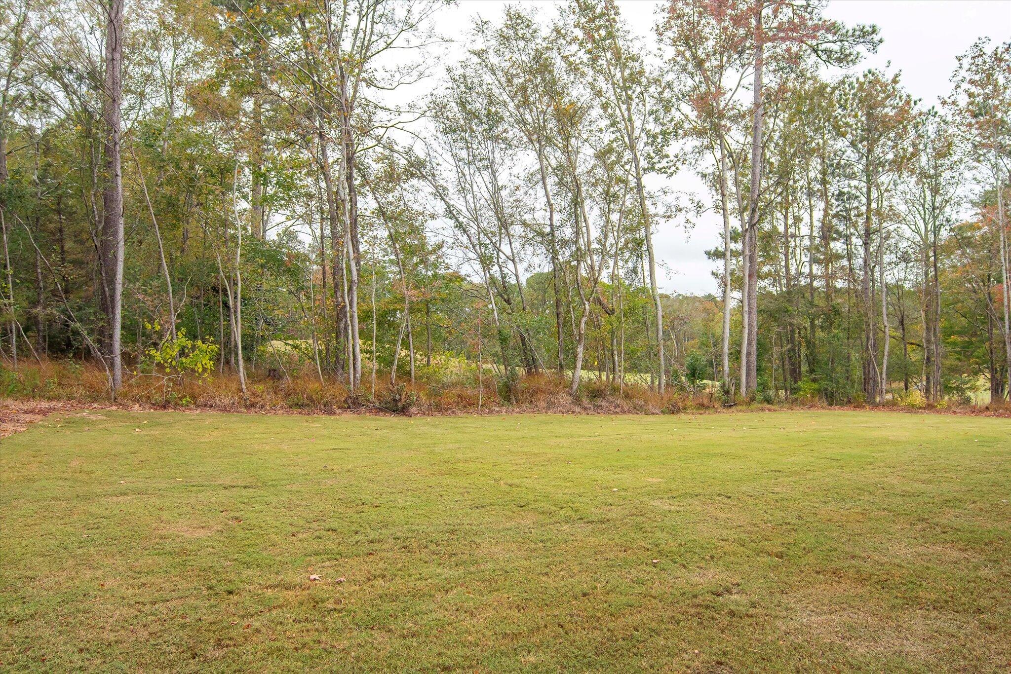 153 Captain Johnson's Drive Property Photo 48