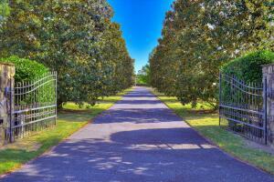 1029 Shell Bluff Drive Property Photo 2