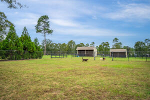 1029 Shell Bluff Drive Property Photo 59