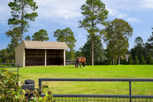 1029 Shell Bluff Drive Property Photo 60