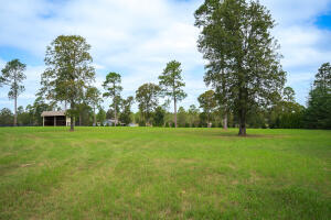 1029 Shell Bluff Drive Property Photo 61