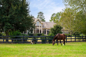 1029 Shell Bluff Drive Property Photo 62