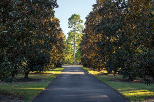 1029 Shell Bluff Drive Property Photo 74
