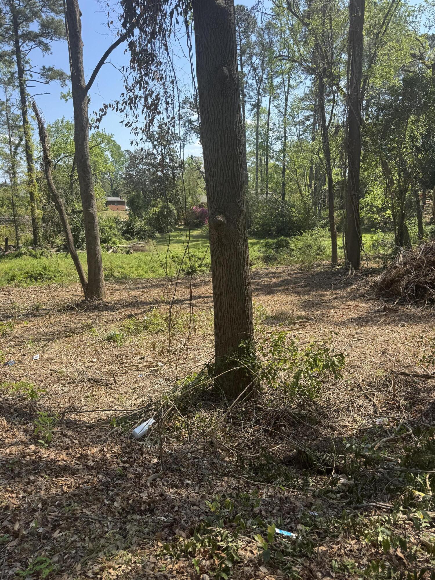 3044 Wheeler Road Property Photo 4