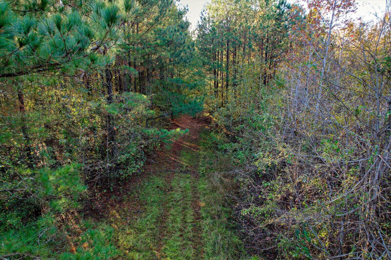 414 Calloway Rd Ext Property Photo 41