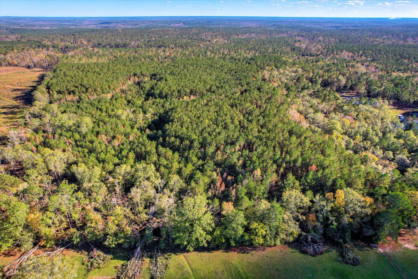 Tbd2 Sc-23 Property Photo 5