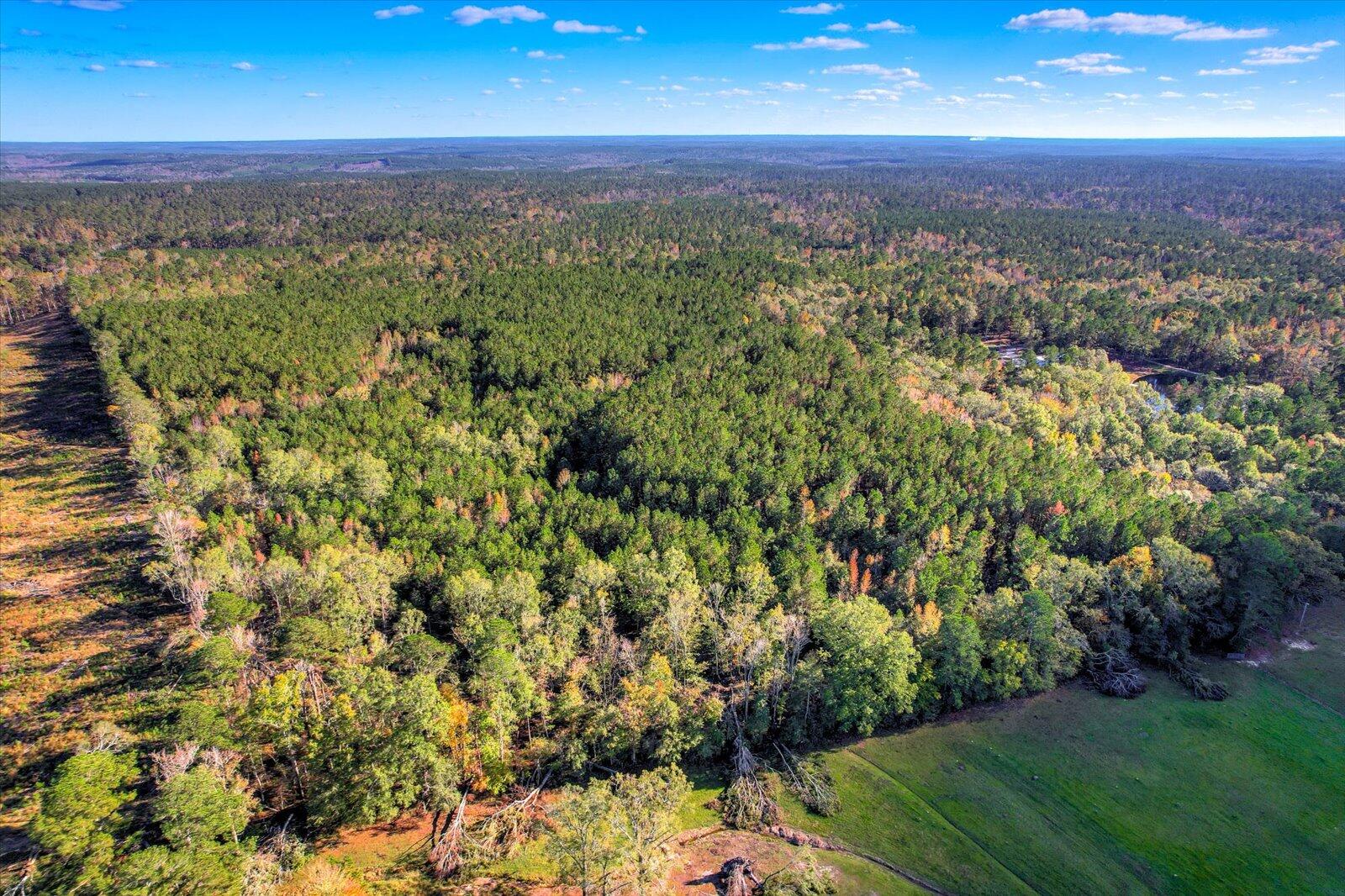 Tbd2 Sc-23 Property Photo 6