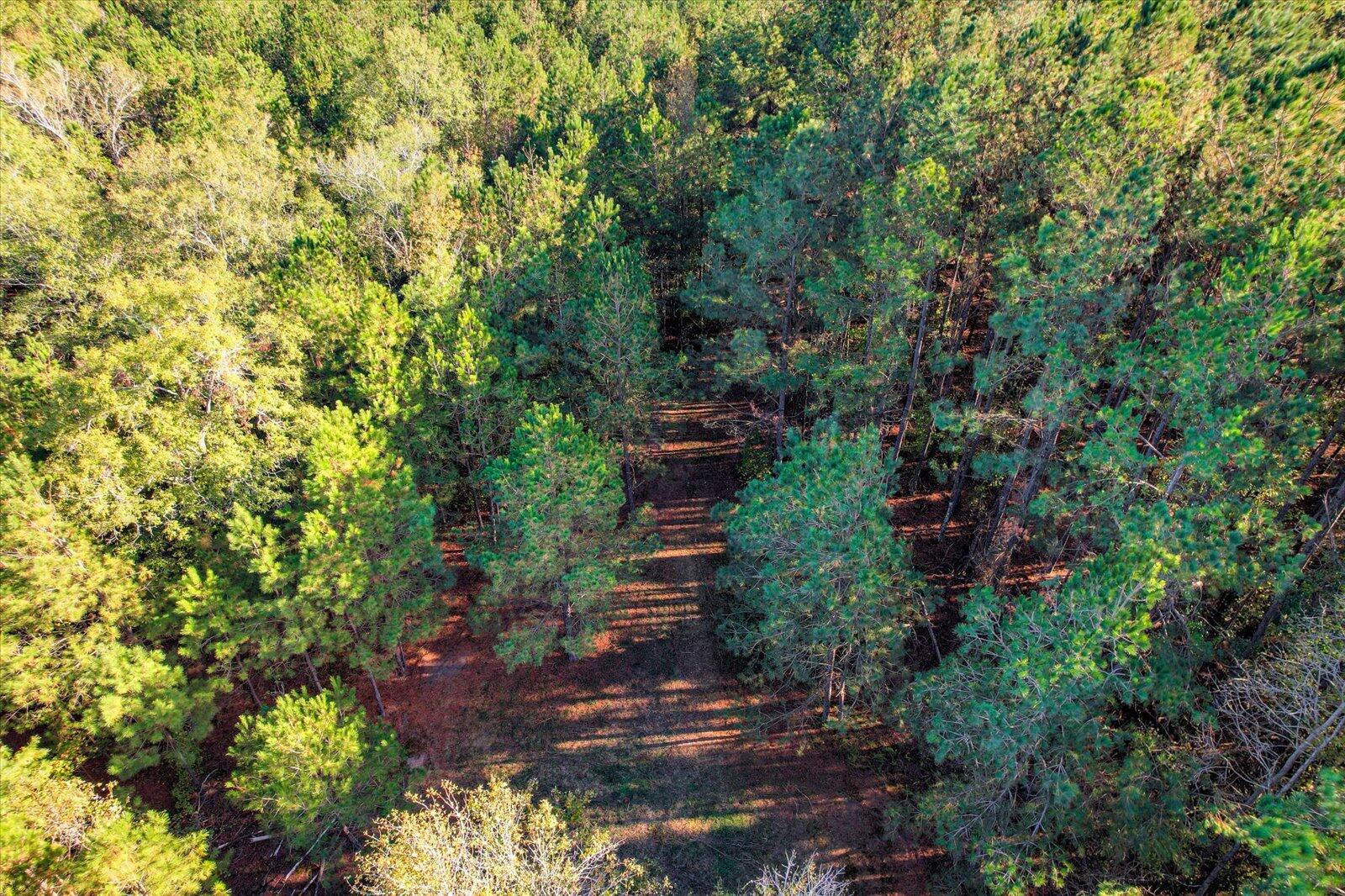 Tbd2 Sc-23 Property Photo 10