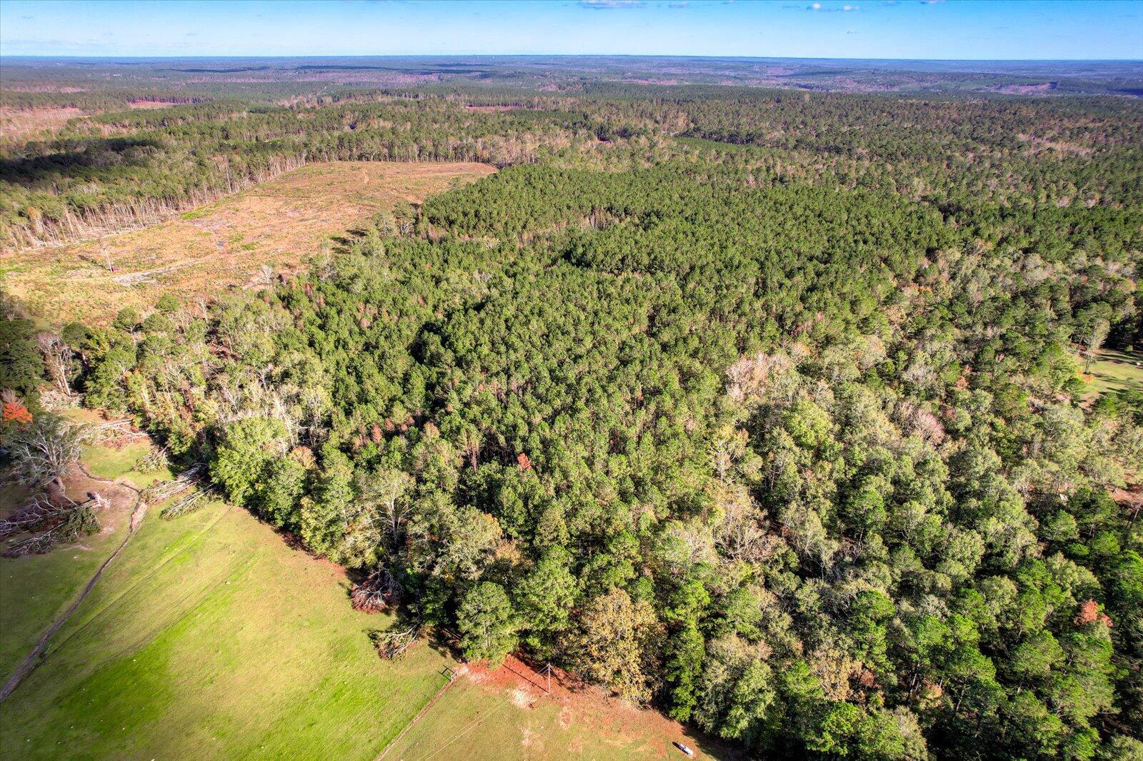 Tbd2 Sc-23 Property Photo 14