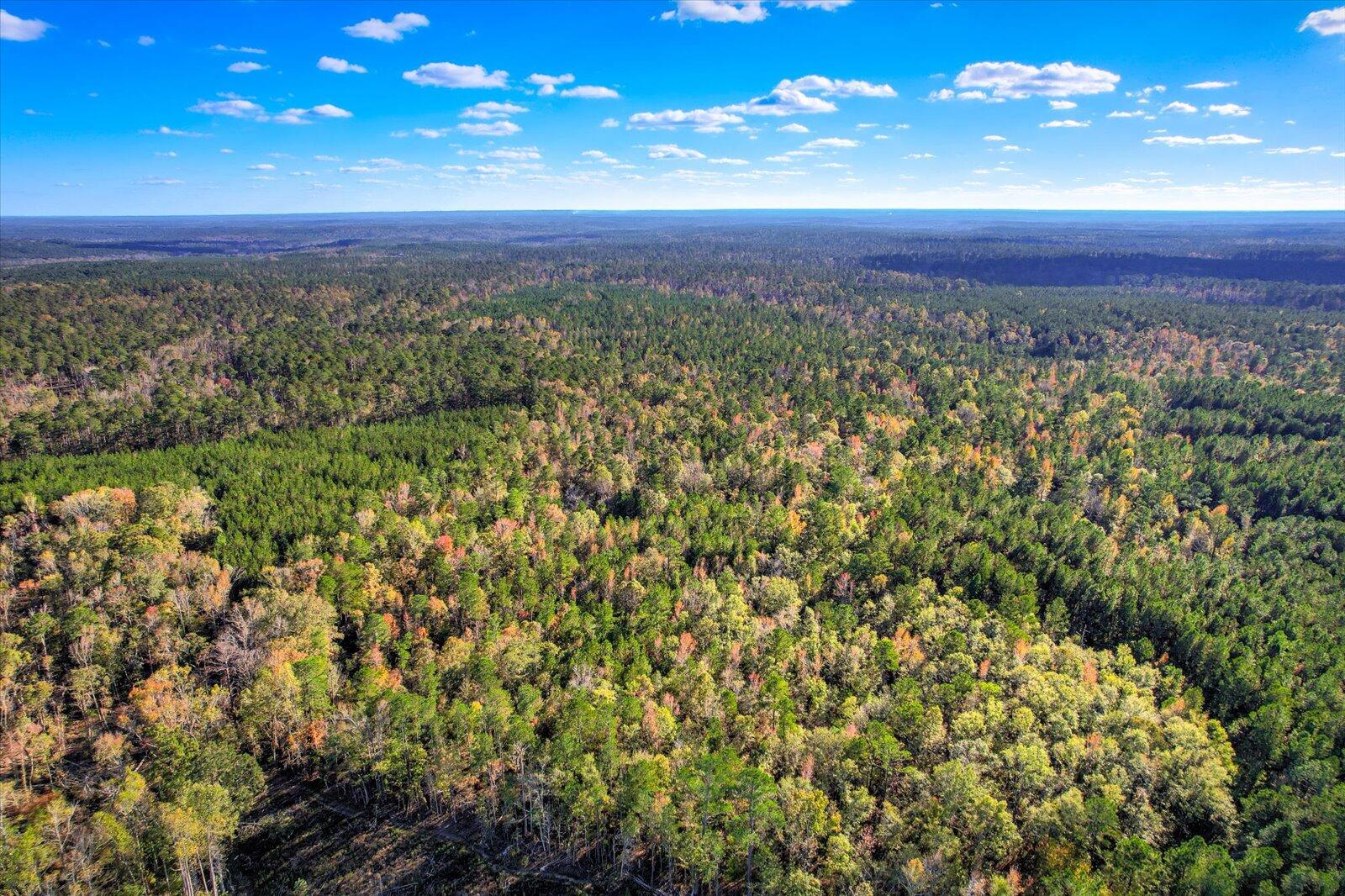 Tbd2 Sc-23 Property Photo 15