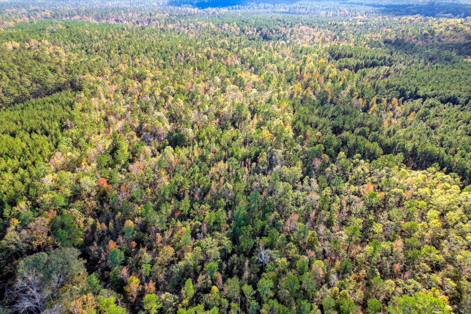 Tbd2 Sc-23 Property Photo 16