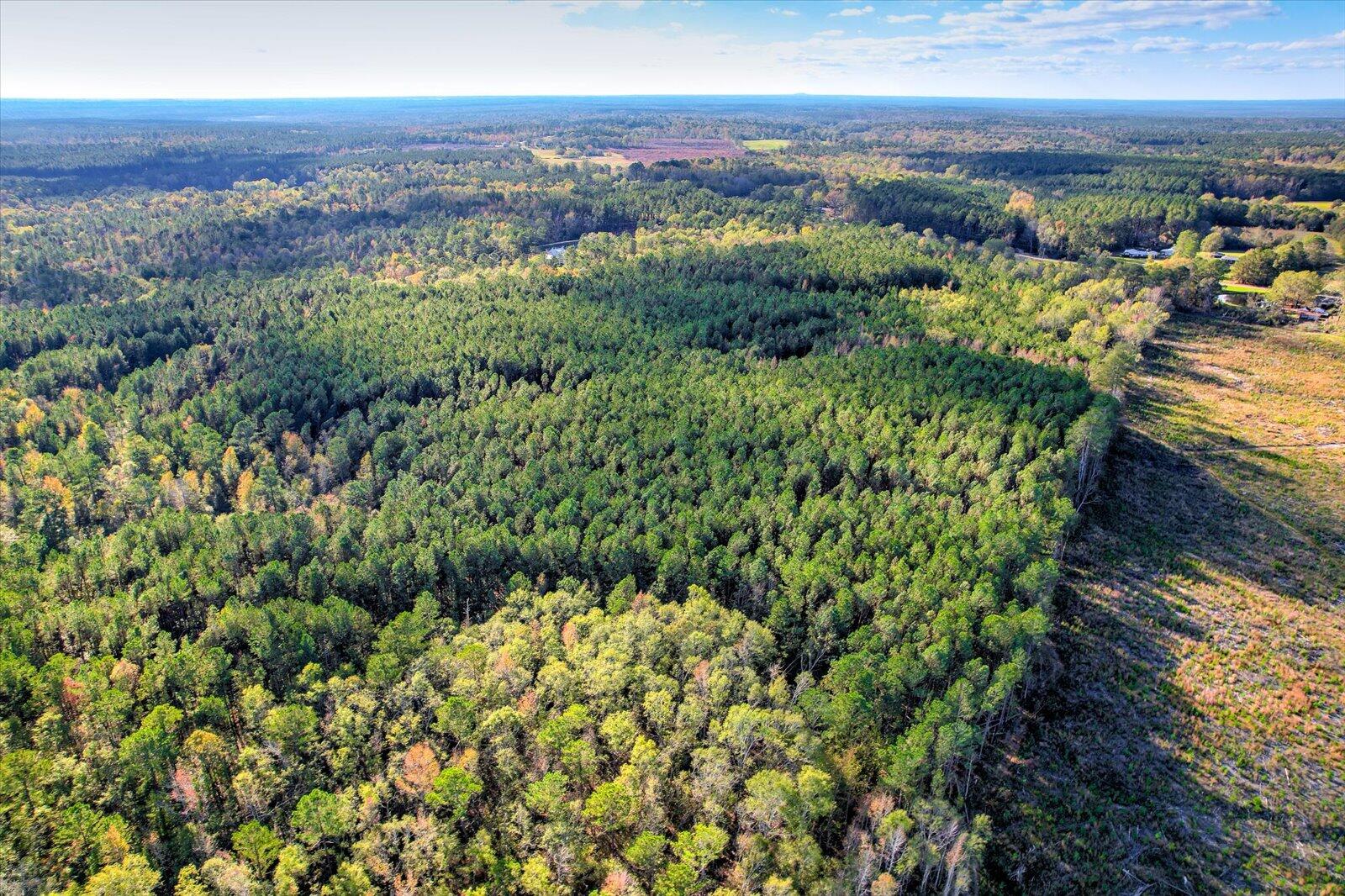 Tbd2 Sc-23 Property Photo 17