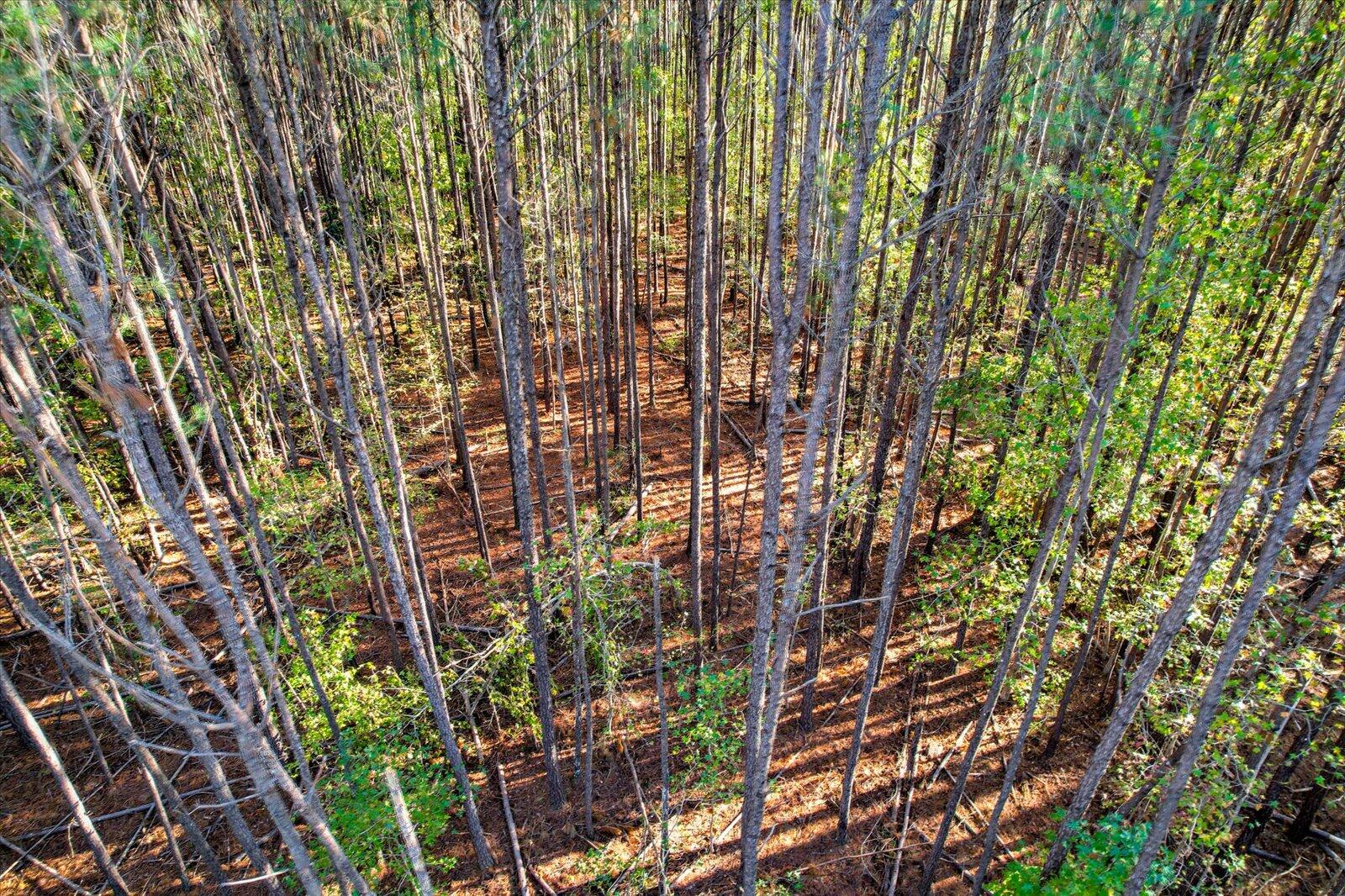 Tbd2 Sc-23 Property Photo 18