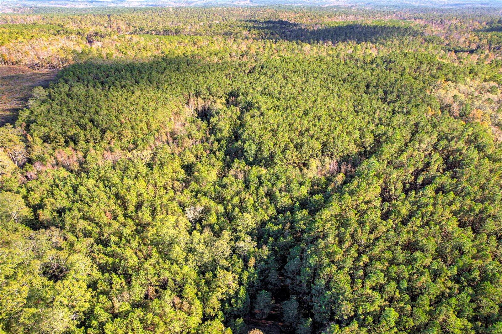Tbd2 Sc-23 Property Photo 19