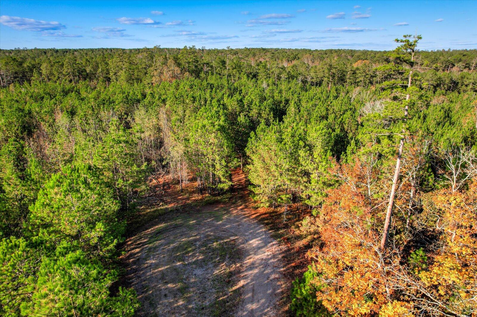 Tbd2 Sc-23 Property Photo 27