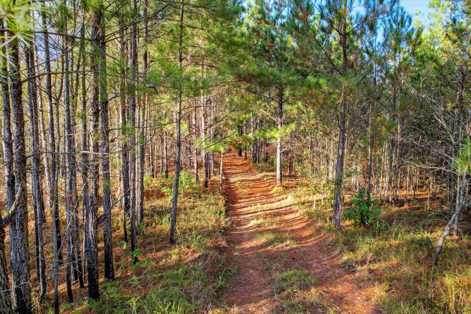 Tbd2 Sc-23 Property Photo 28
