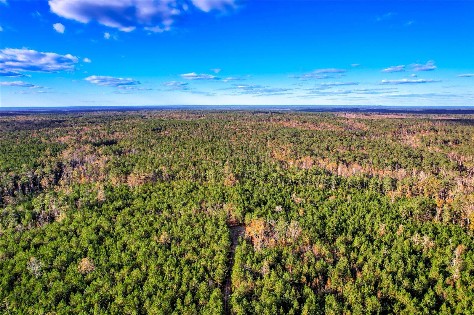 Tbd2 Sc-23 Property Photo 29