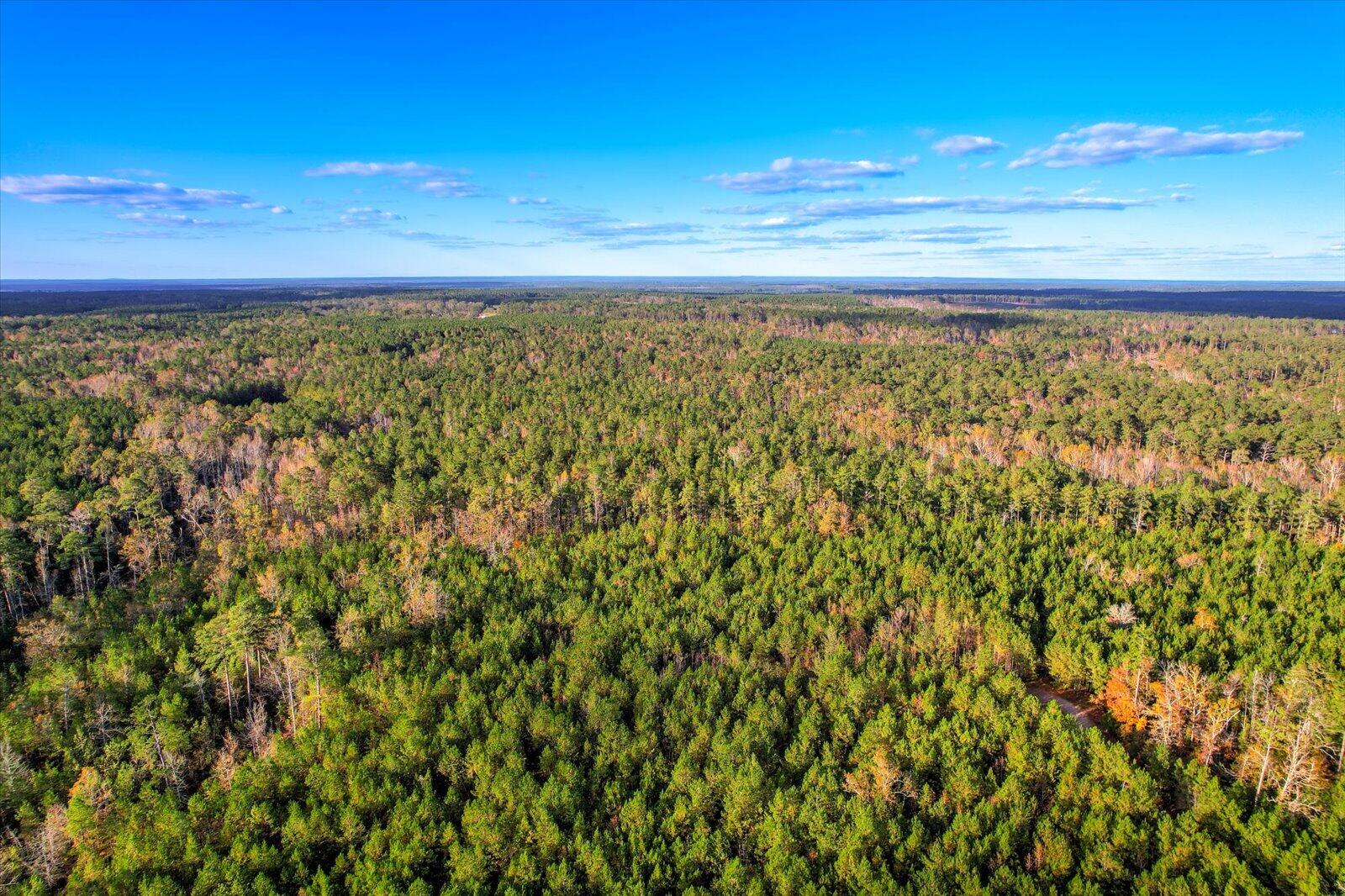 Tbd2 Sc-23 Property Photo 36