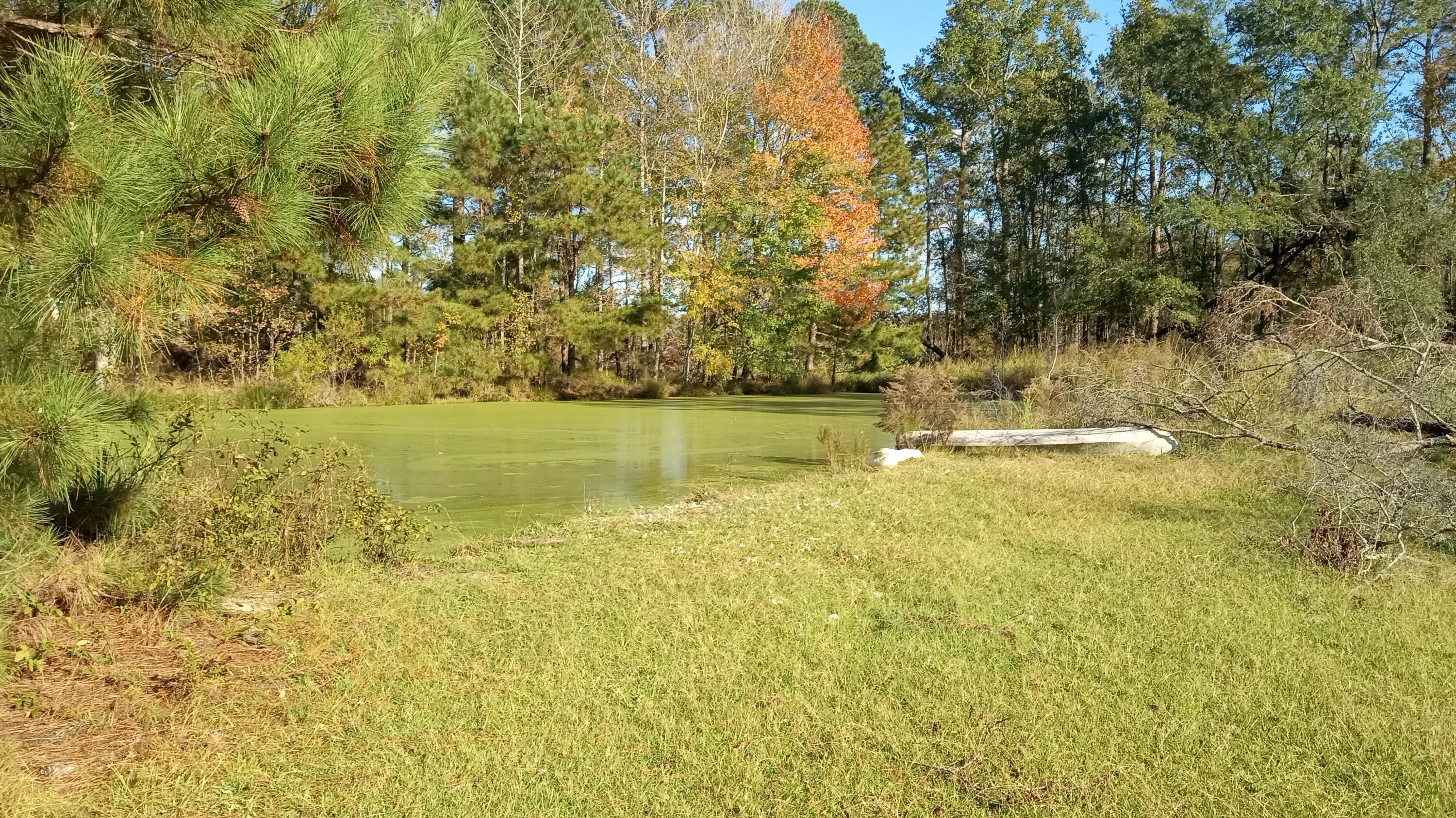 Tbd2 Sc-23 Property Photo 38
