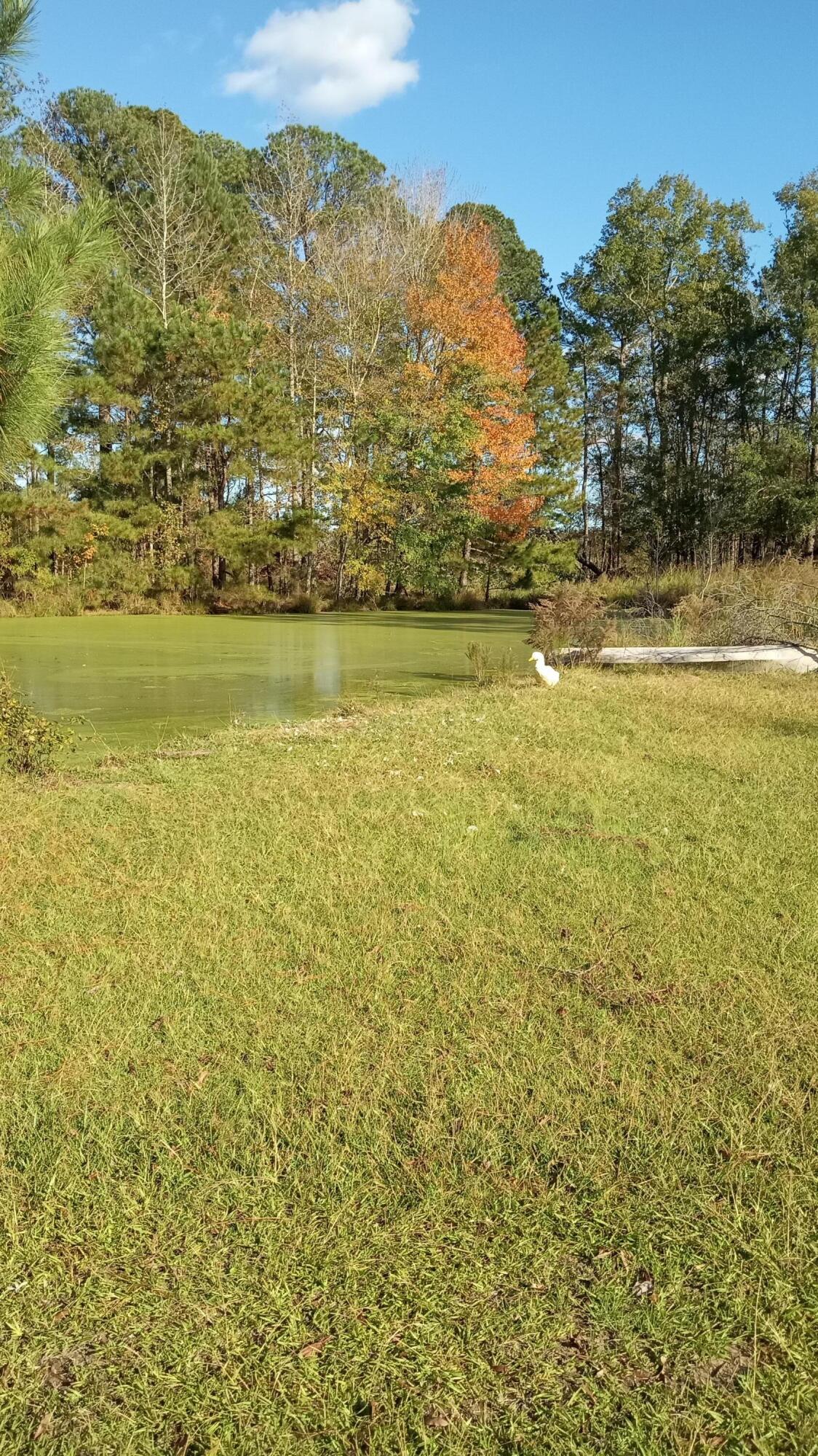 Tbd2 Sc-23 Property Photo 39
