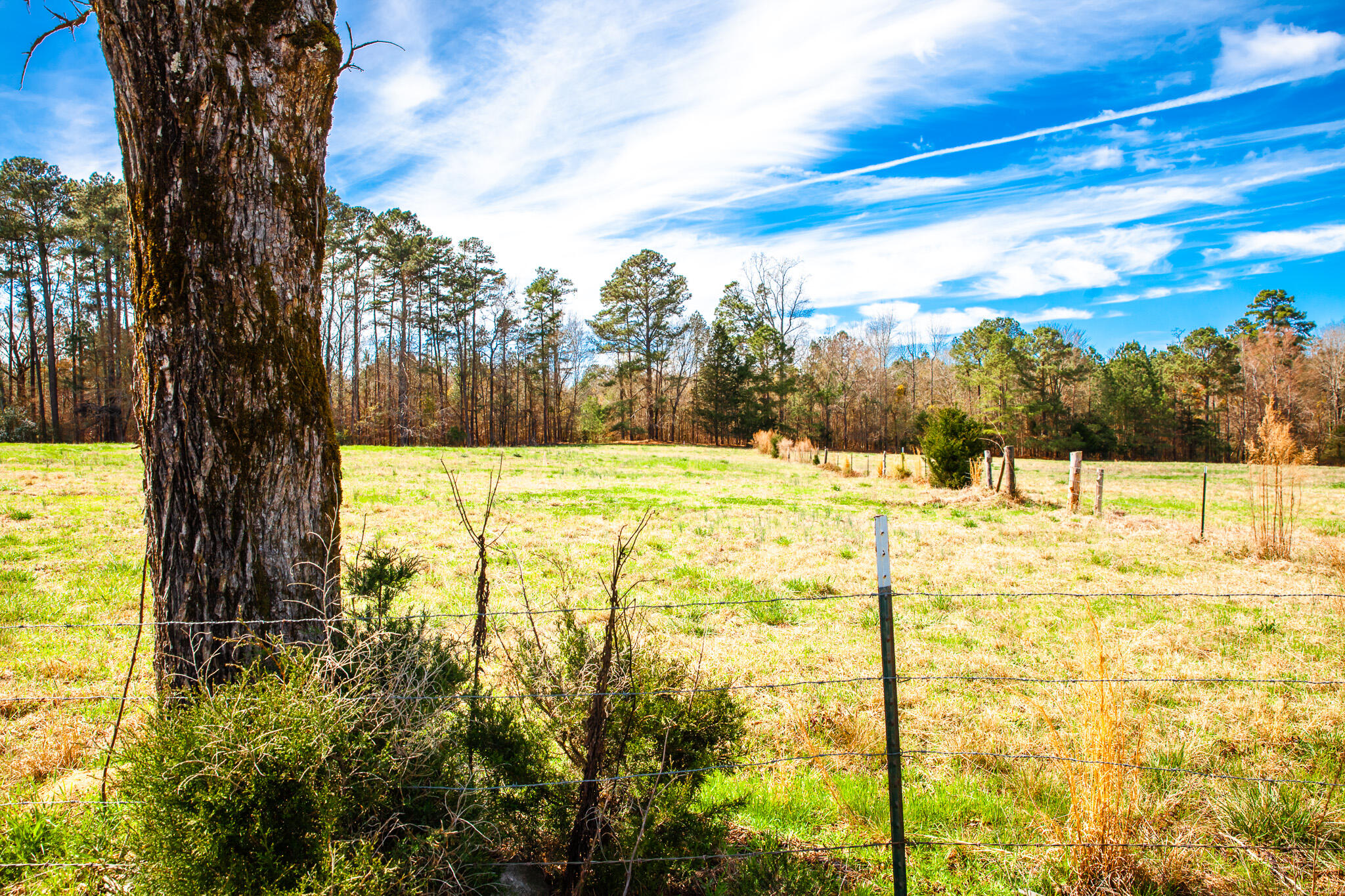 3500 5 Mistletoe Road Property Photo 1