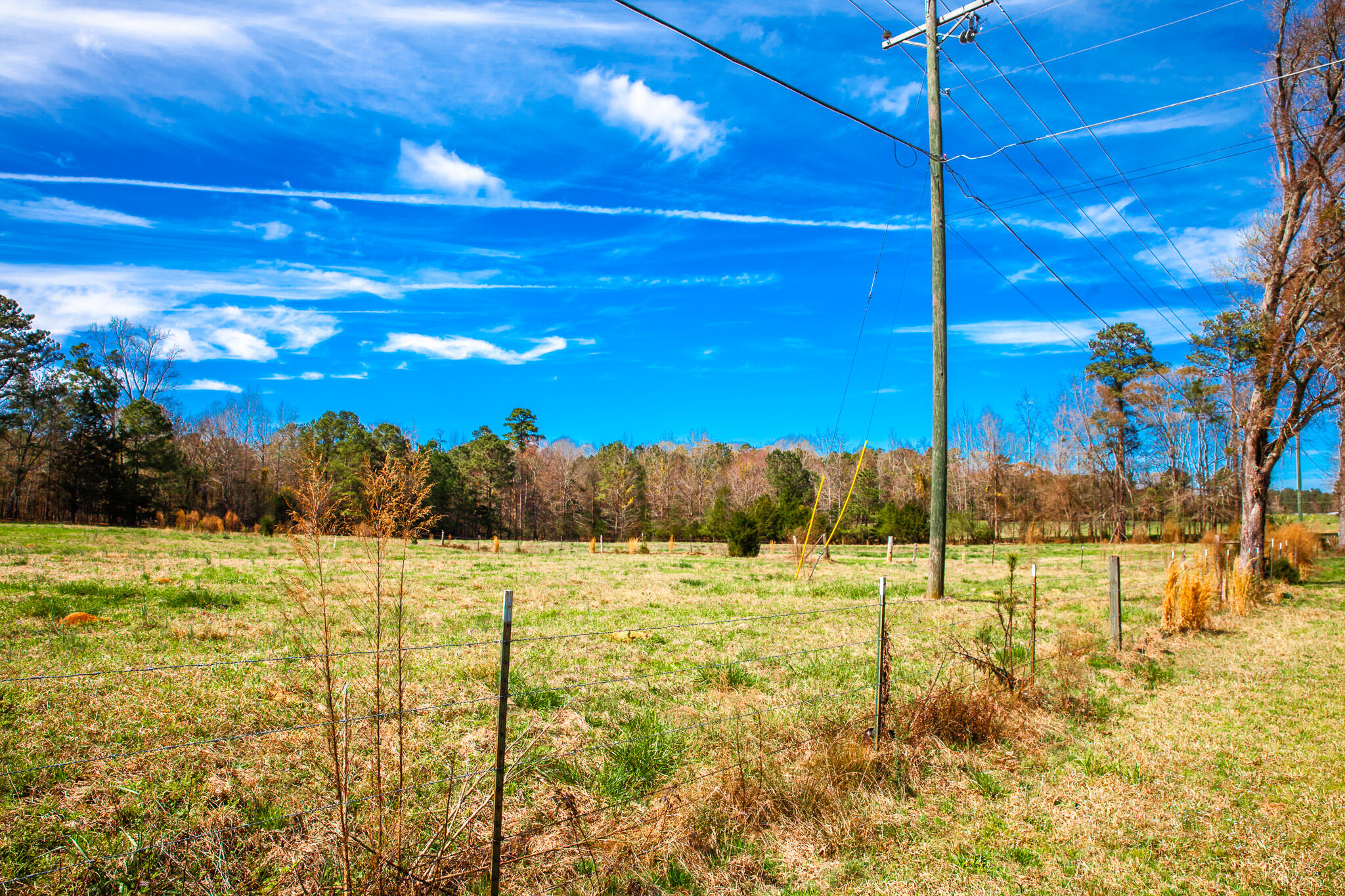 3500 5 Mistletoe Road Property Photo 2